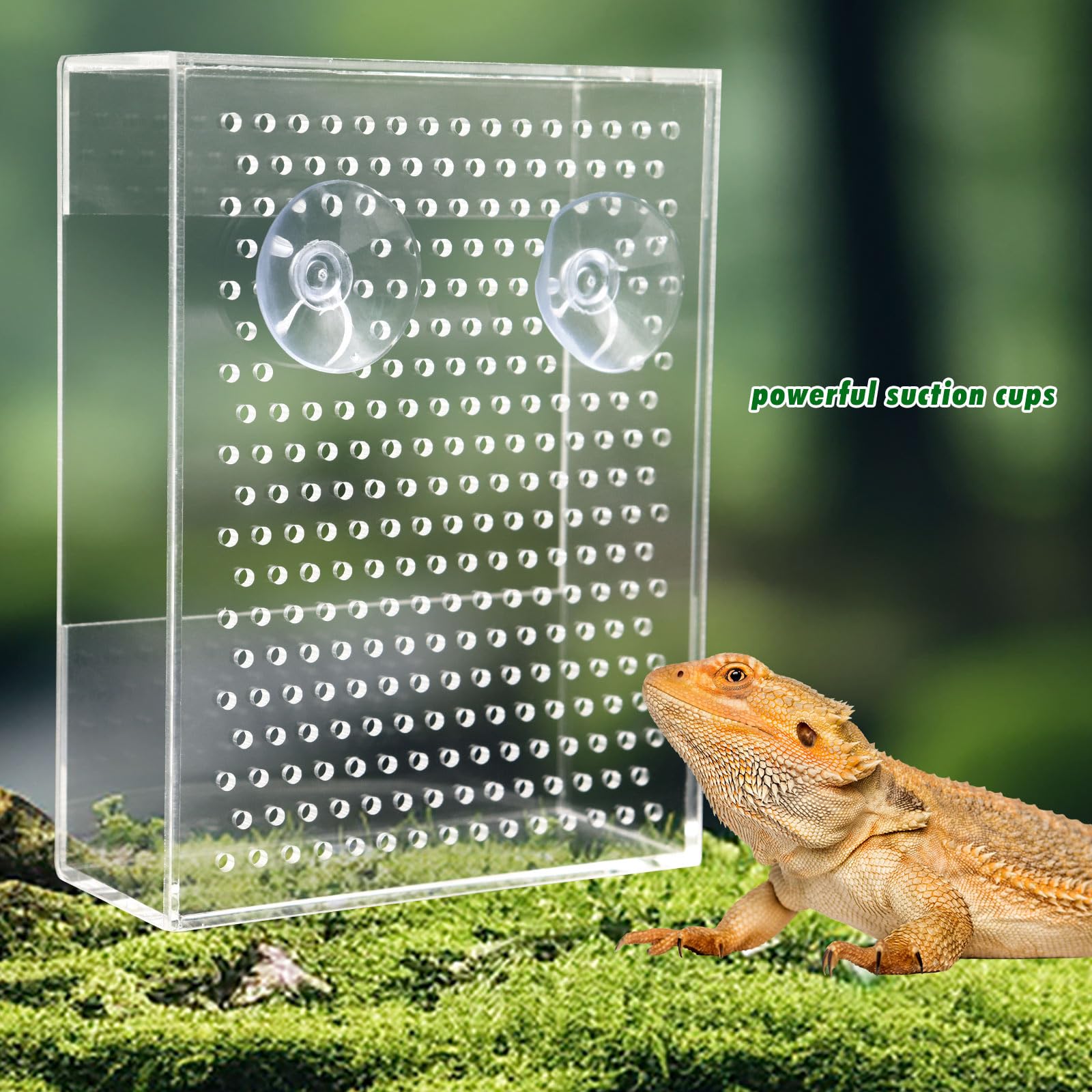 Neeenn Compact dimensions fit neatly inside tanks and aquariums.