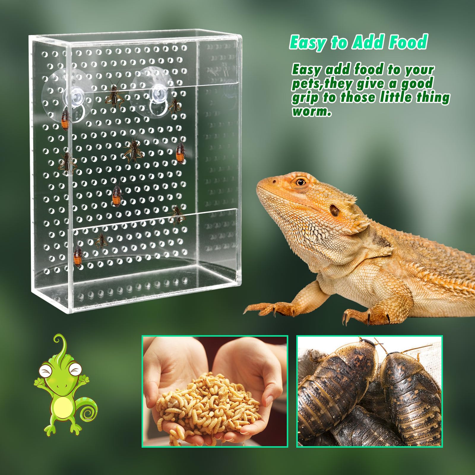Neeenn Bearded Dragon Feeder Box suction cups mount securely to glass.