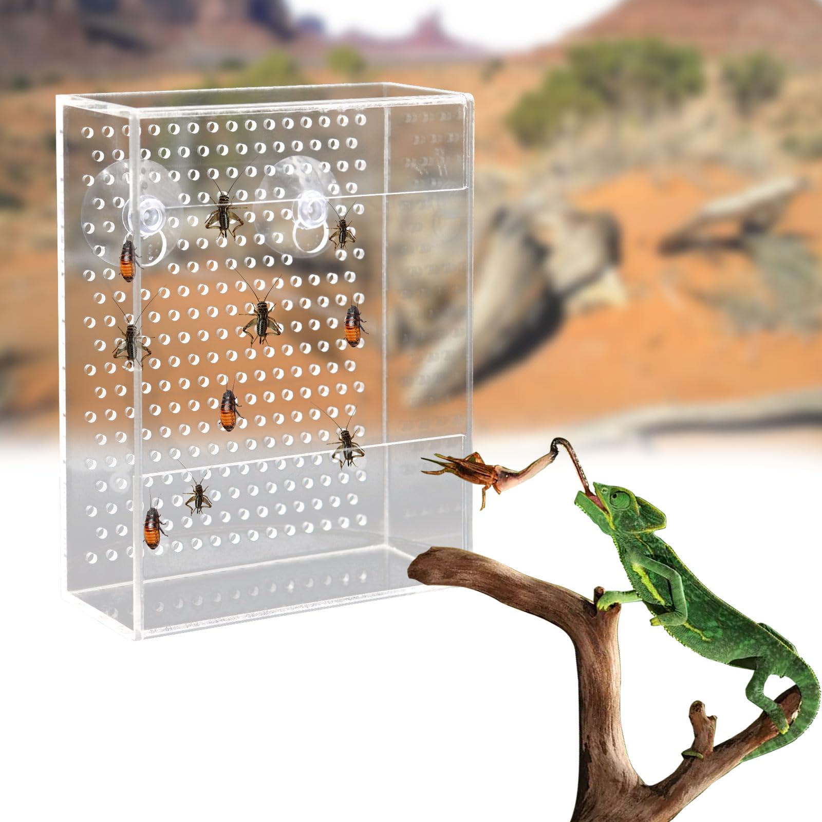 Neeenn Transparent acrylic material closeup shows durable easy-clean surface.