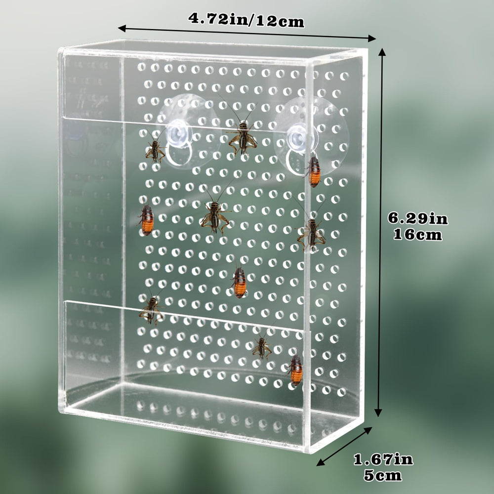 Neeenn Wall-mount feeder in aquarium demonstrates stable feeding spot.