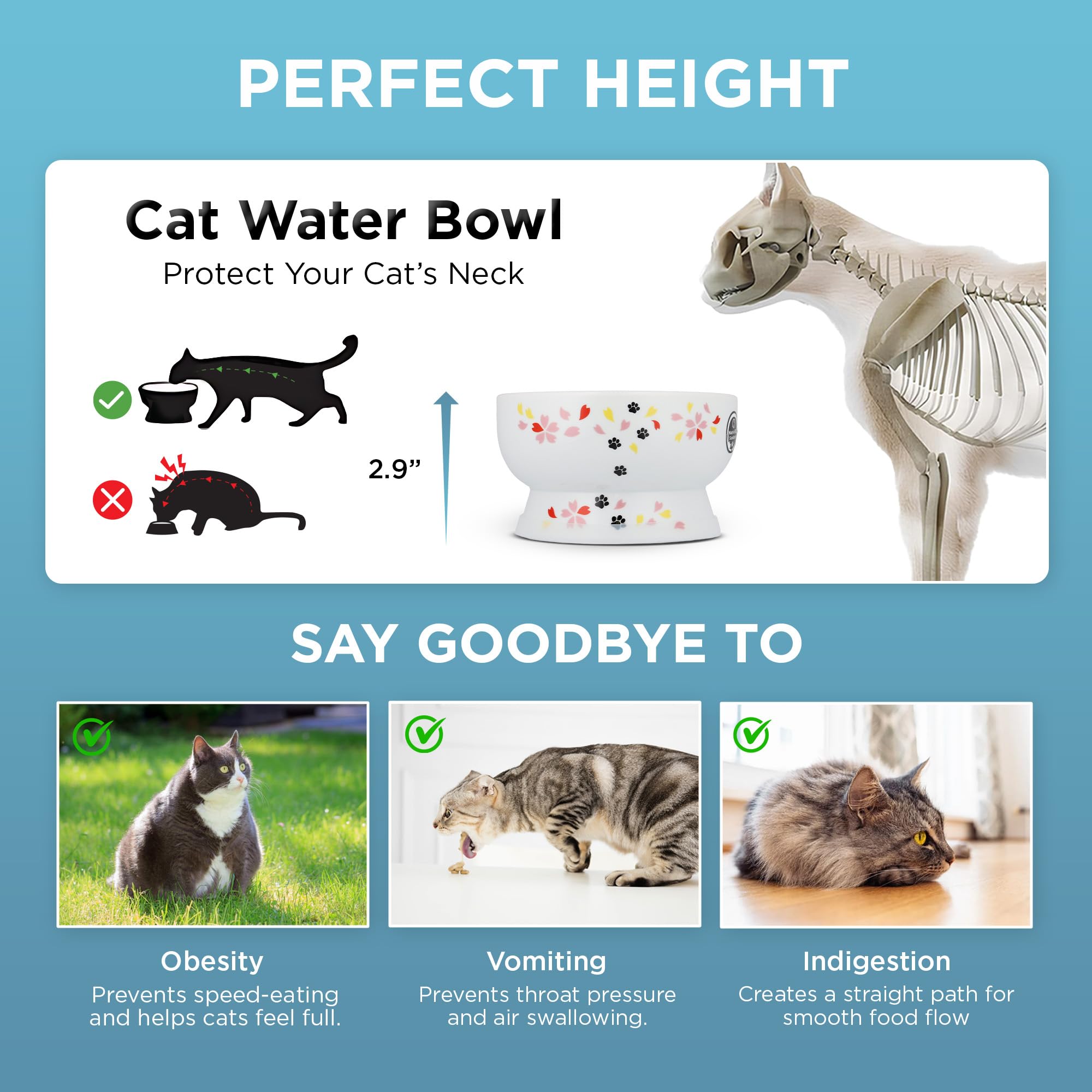 Nekoichi porcelain is dishwasher and microwave safe for convenience.