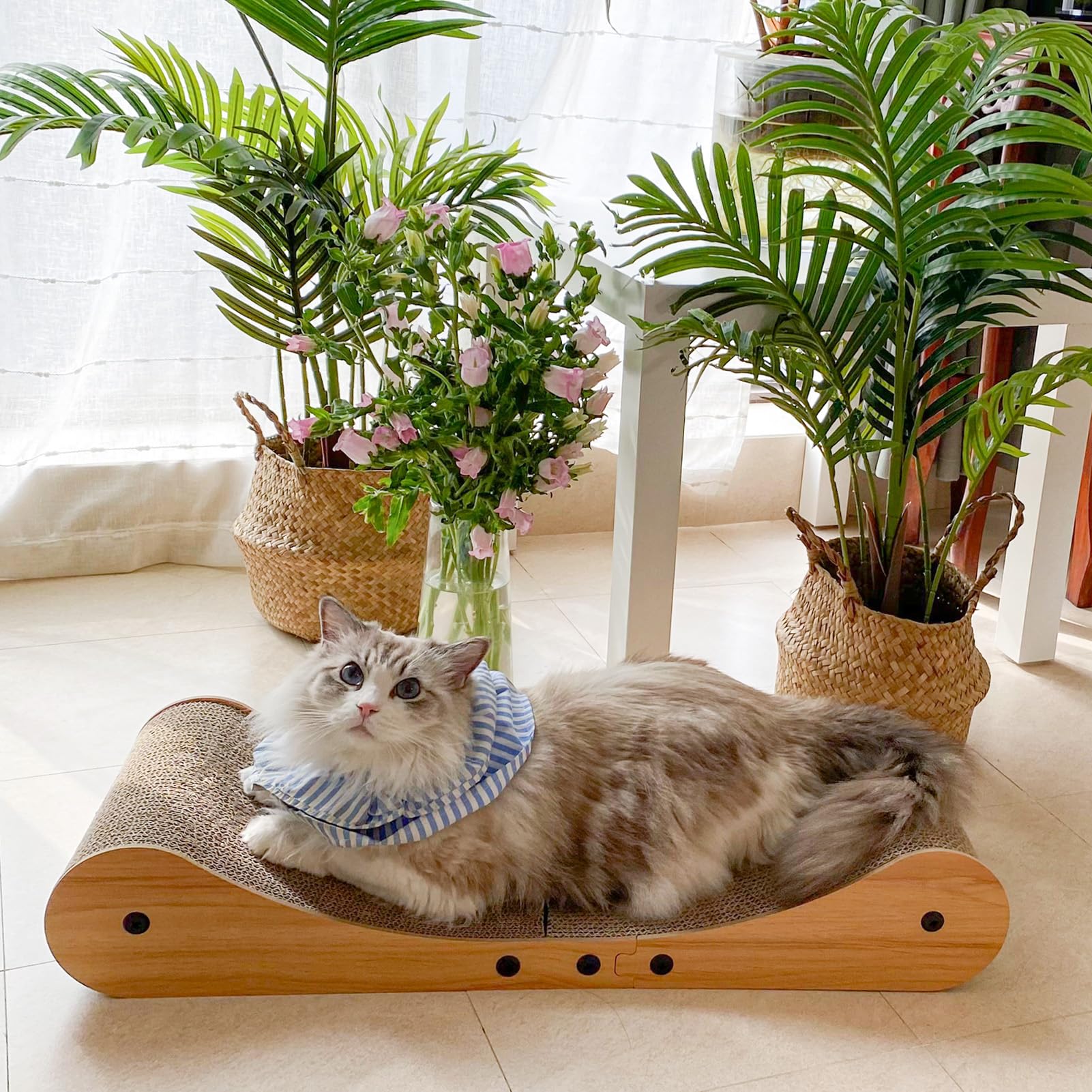 Nekosan cat-scratcher-bed ideal for indoor cat comfort