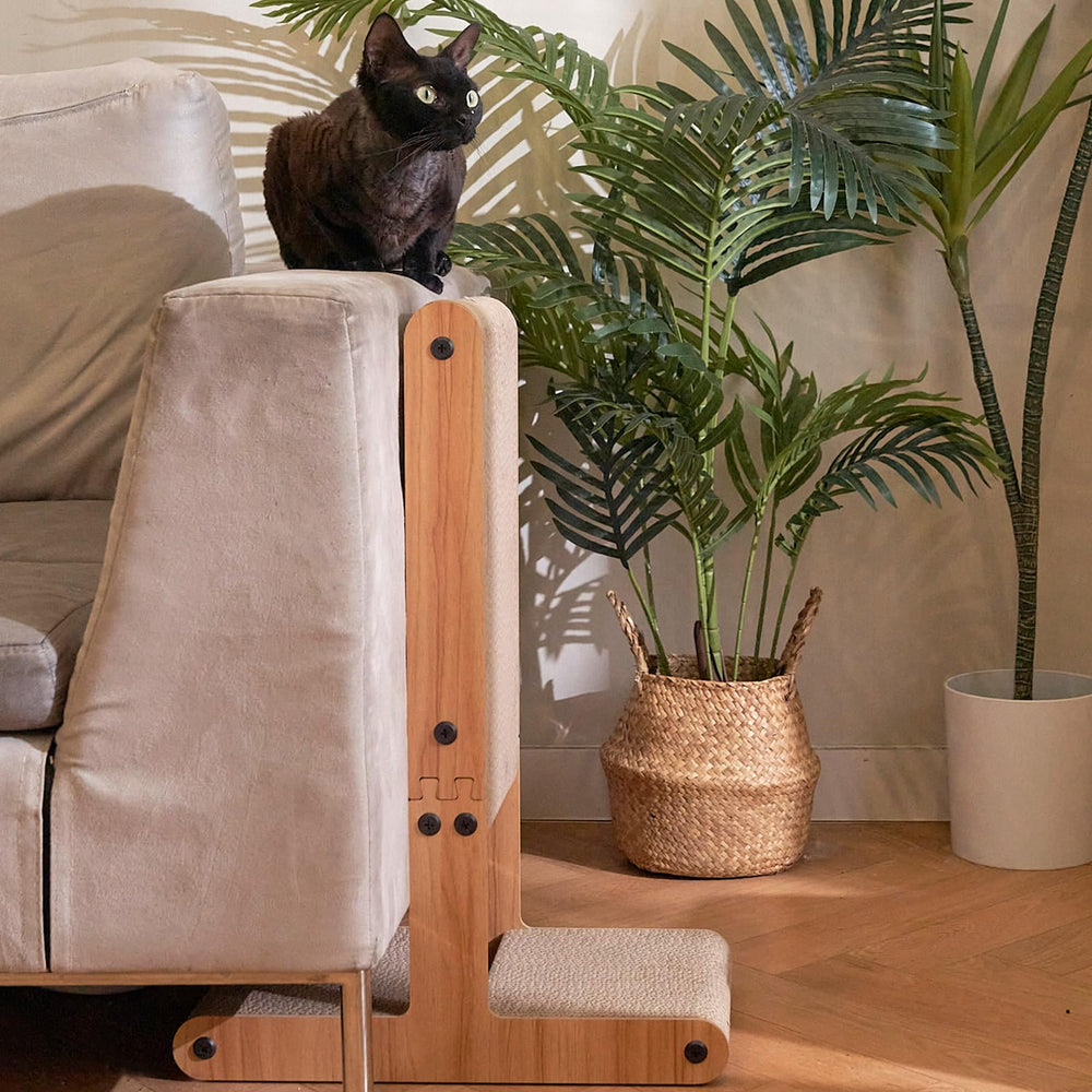 Nekosan indoor cat protection and entertainment setup for scratching