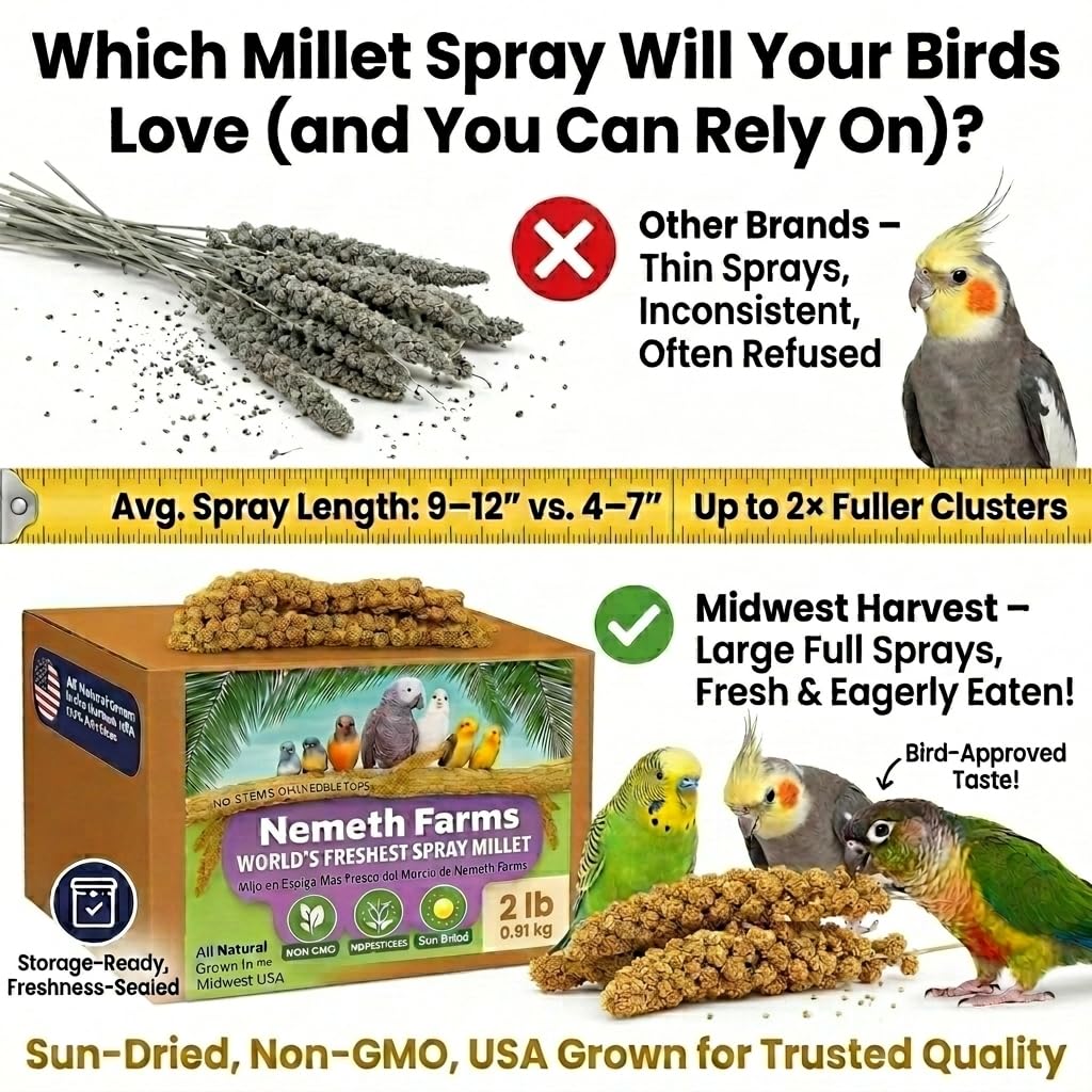 Nemeth Farms Spray Millet for cockatiels—birds love the texture and reward potential.