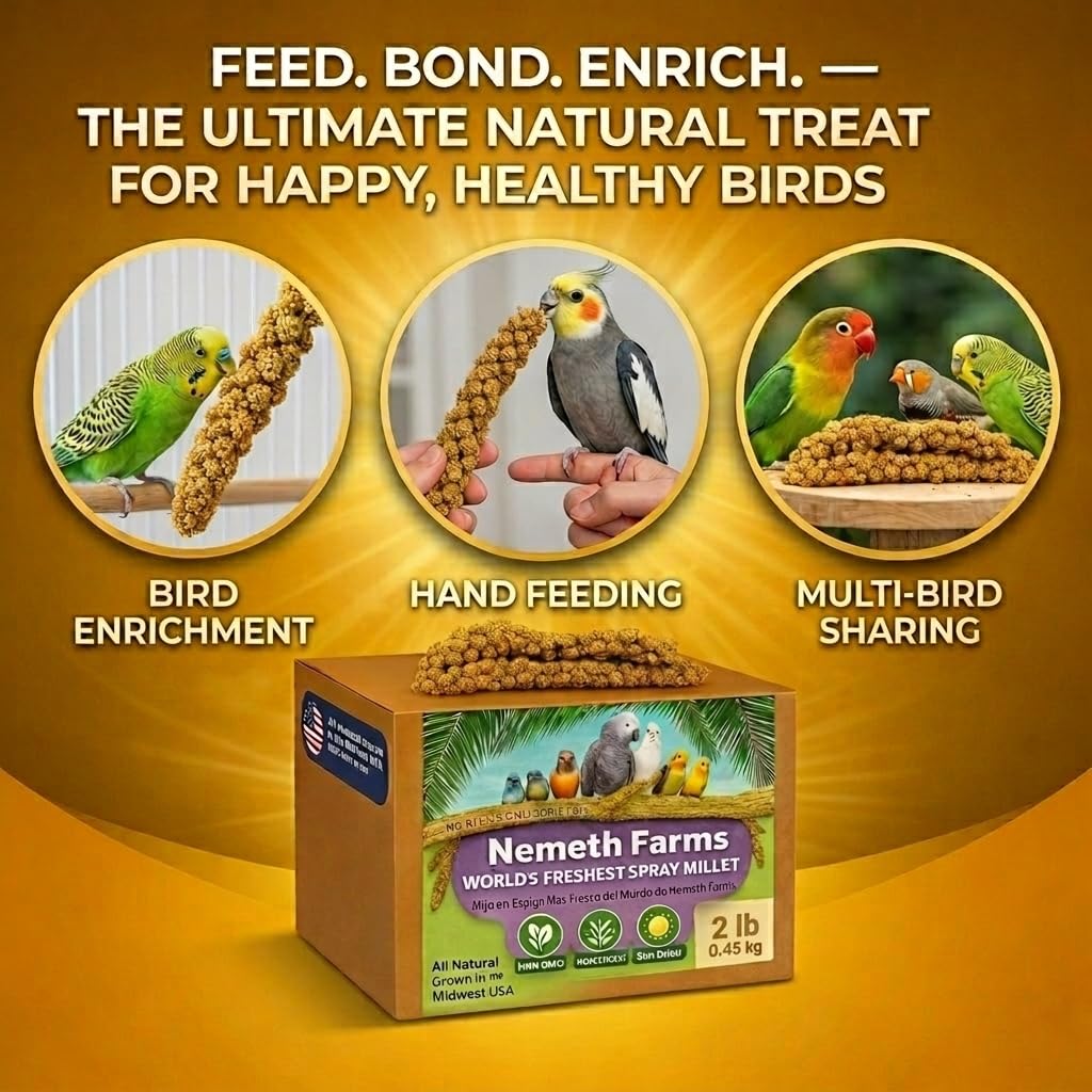 Nemeth Farms Spray Millet for lovebirds—encourages foraging and bonding with easy rewards.