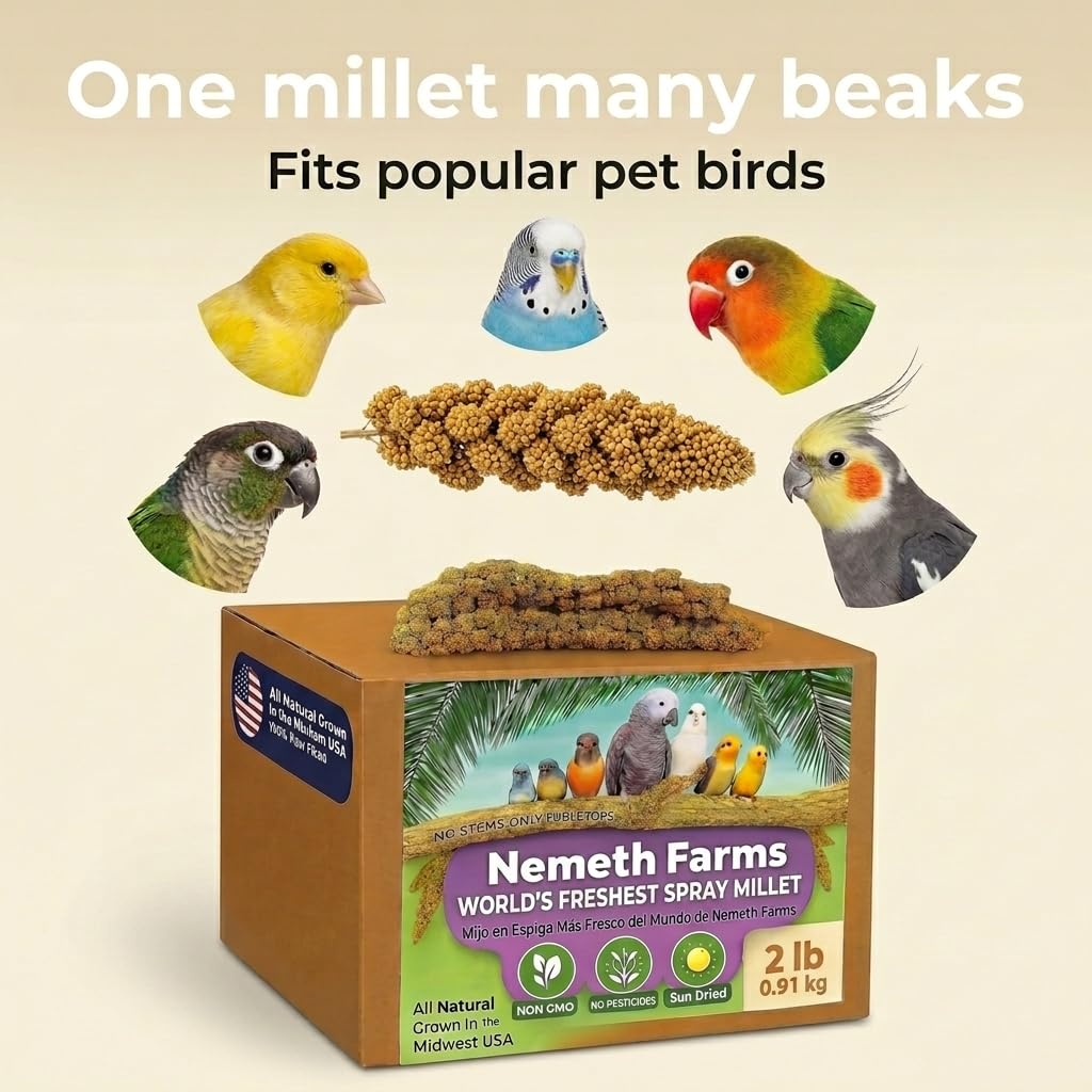Nemeth Farms Spray Millet non-GMO and sun-dried for clean daily treats.