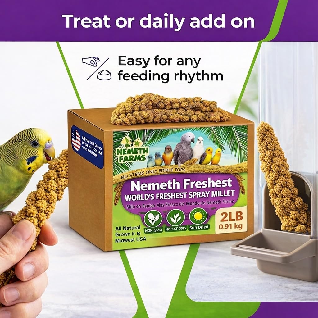 Nemeth Farms Spray Millet full sprays for longer feeding time and reduced mess.