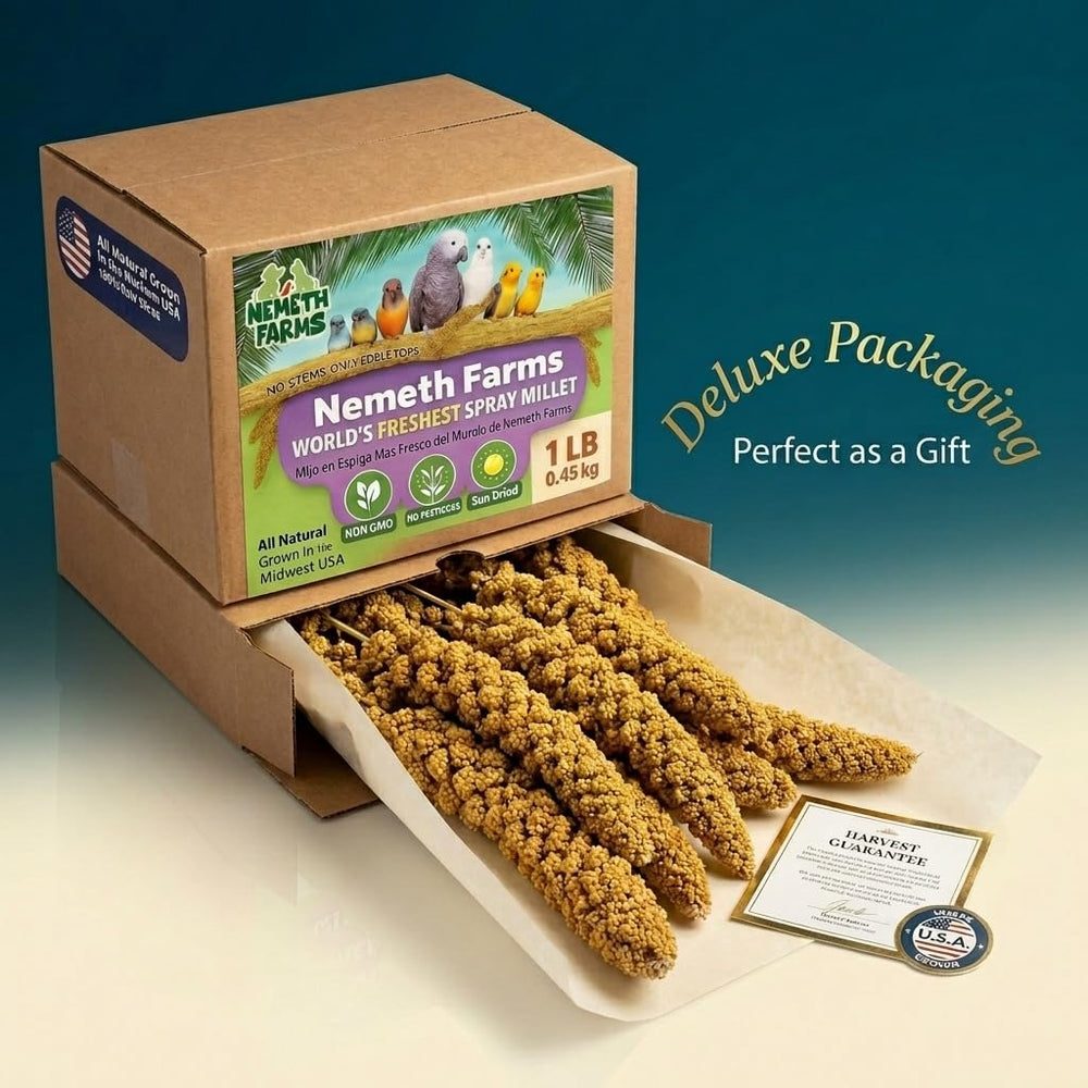 Nemeth Farms Spray Millet US-grown Midwest quality for reliable harvests.