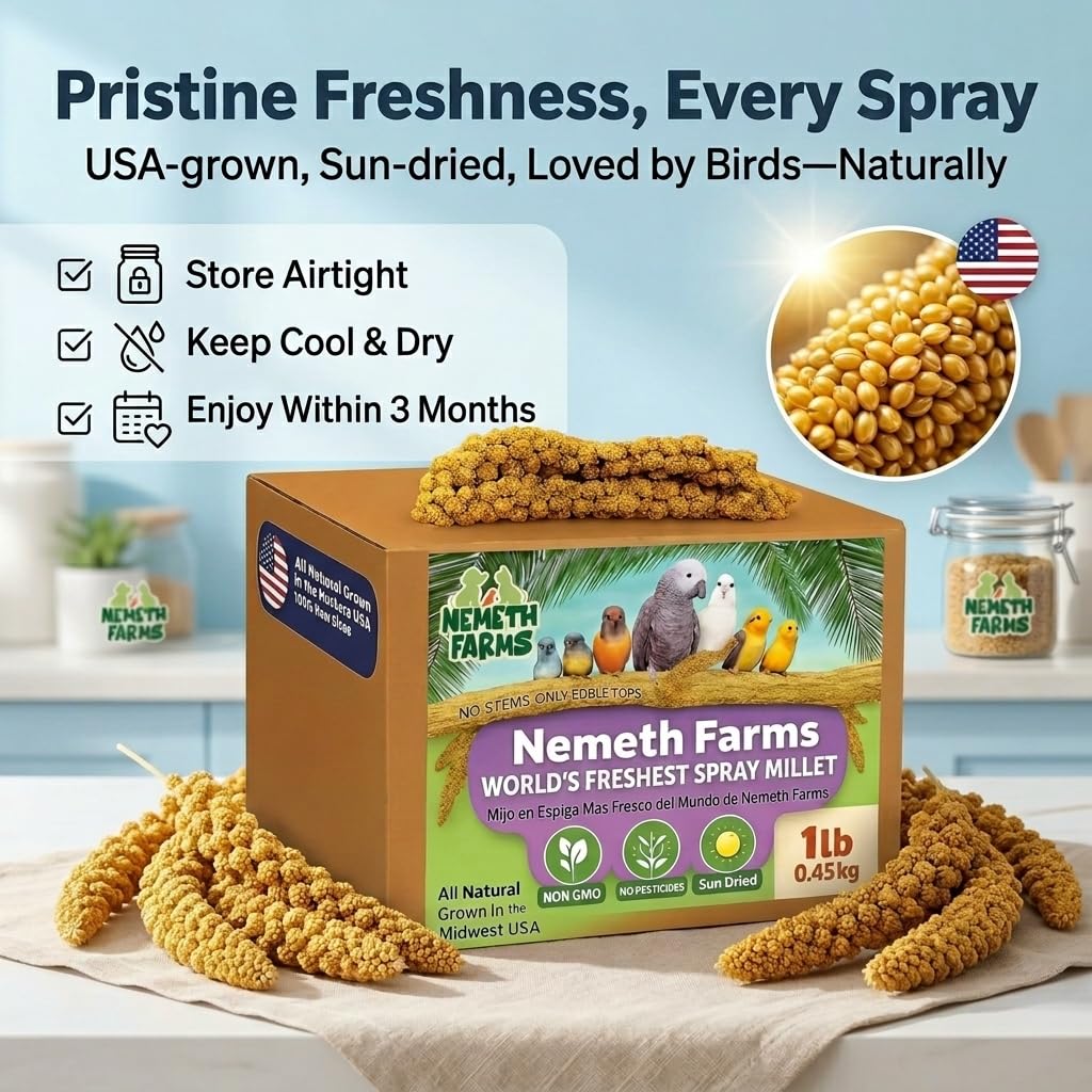 Nemeth Farms sun-dried millet shows a natural, wholesome bird snack.