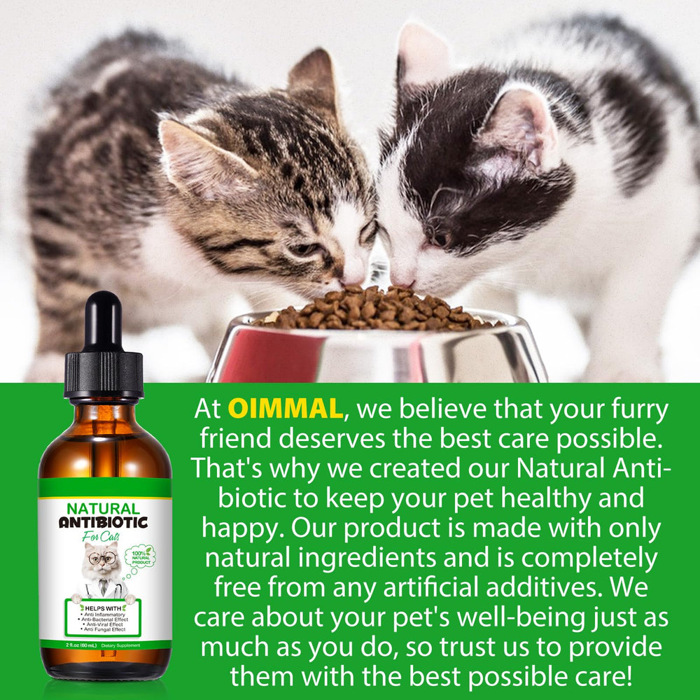 NenMaoKeNu cat antibiotics supplement pack for daily wellness