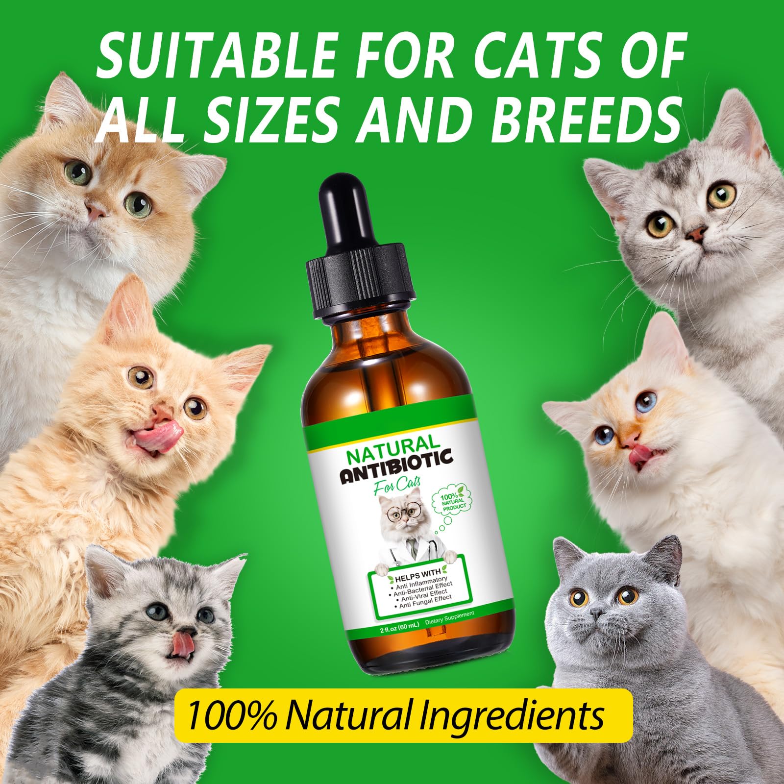 NenMaoKeNu cat enjoying mealtime with herbal supplement addition