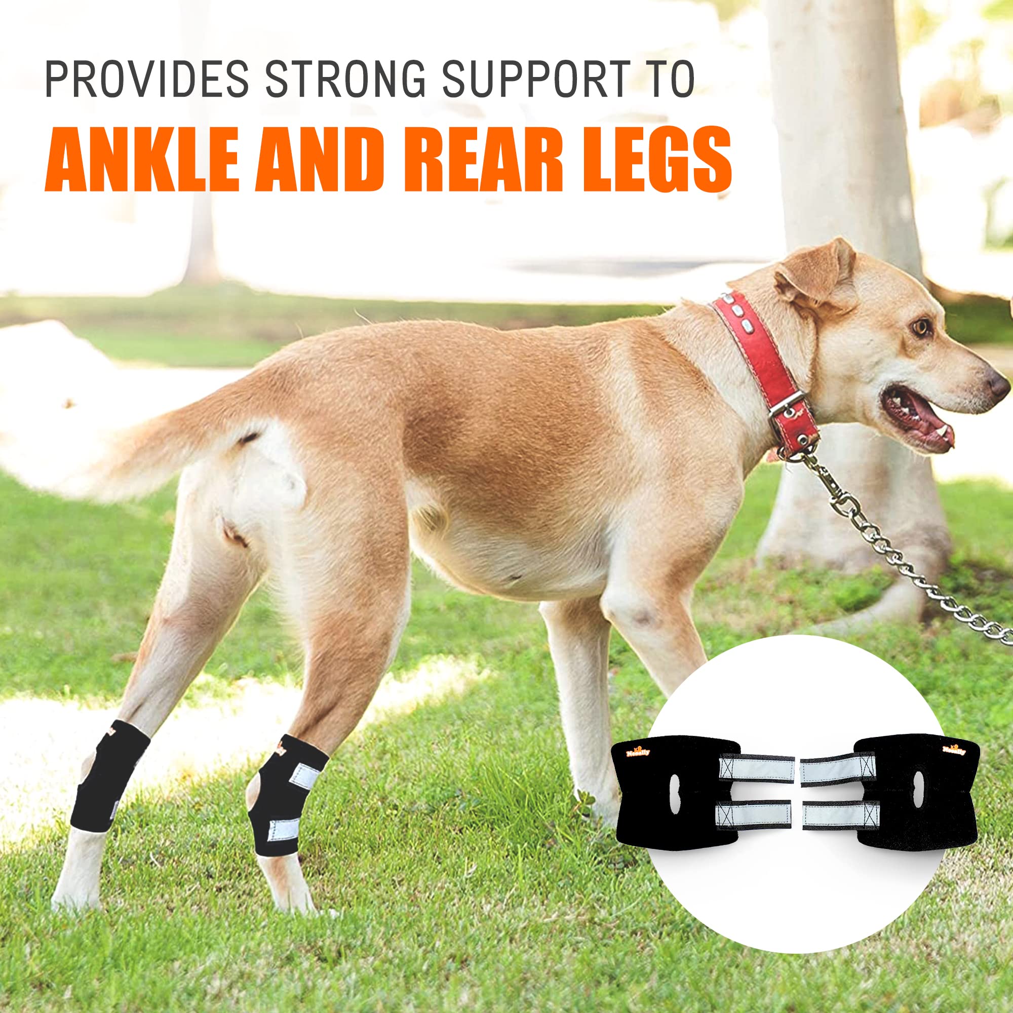 NeoAlly 4mm neoprene padding provides gentle cushioning