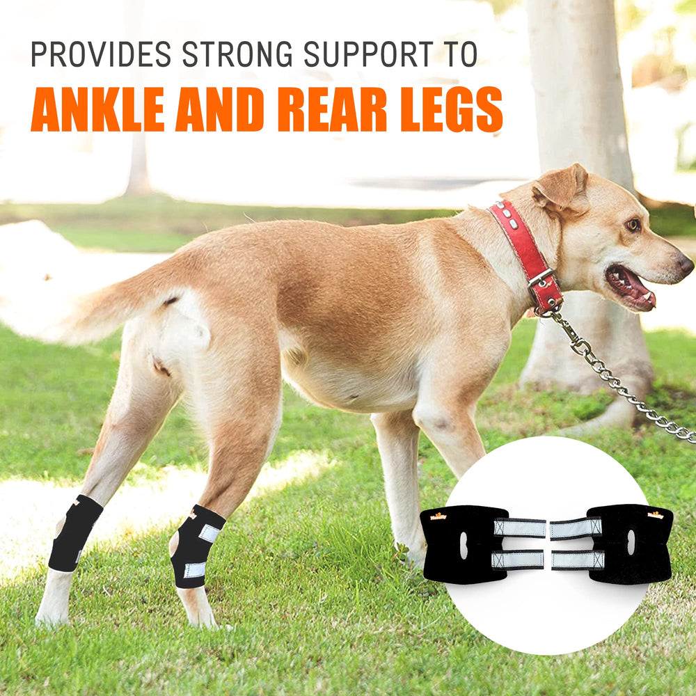 NeoAlly 4mm neoprene padding provides gentle cushioning