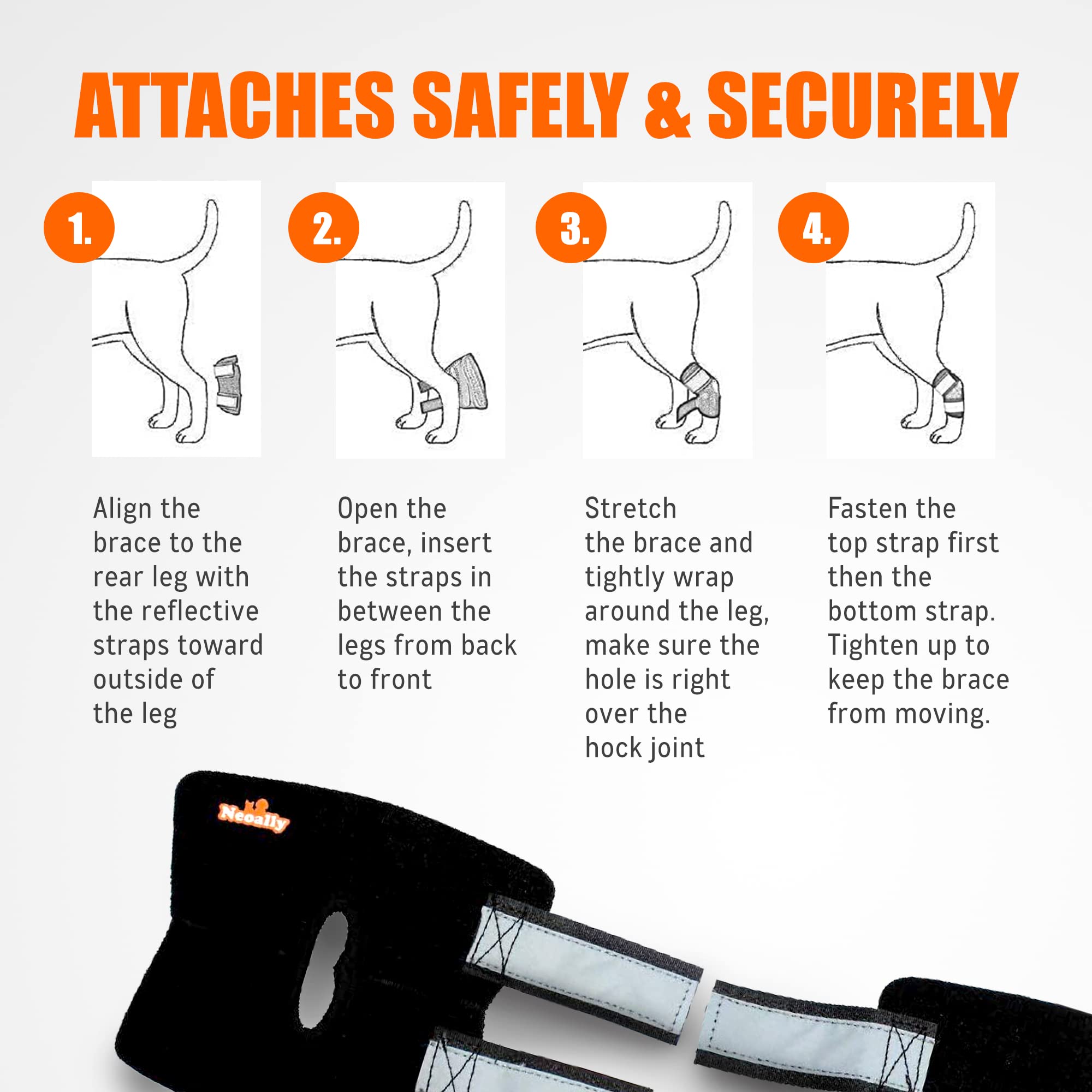 NeoAlly reflective straps improve safety during evening walks.