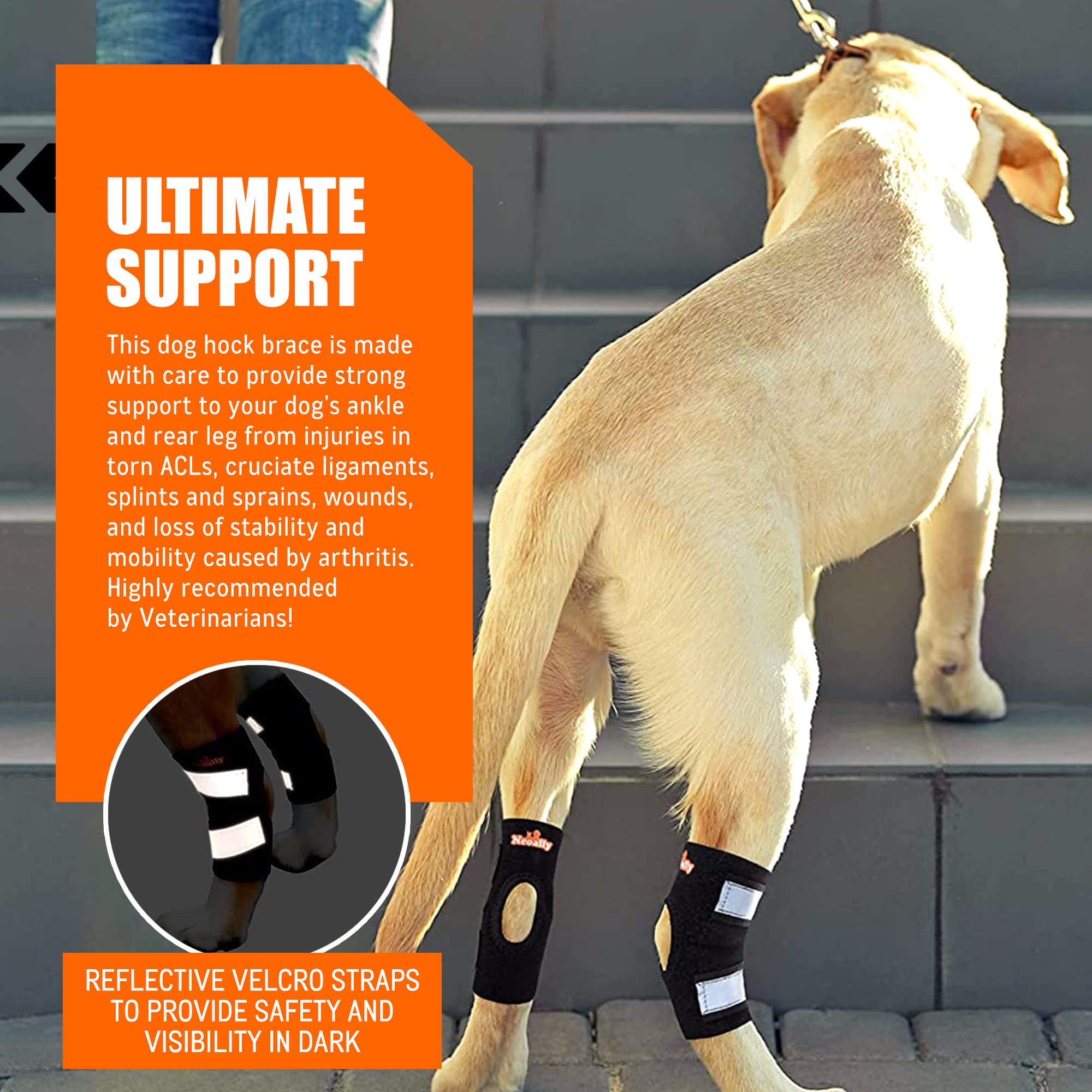 NeoAlly dog brace close up shows soft neoprene and nylon lining