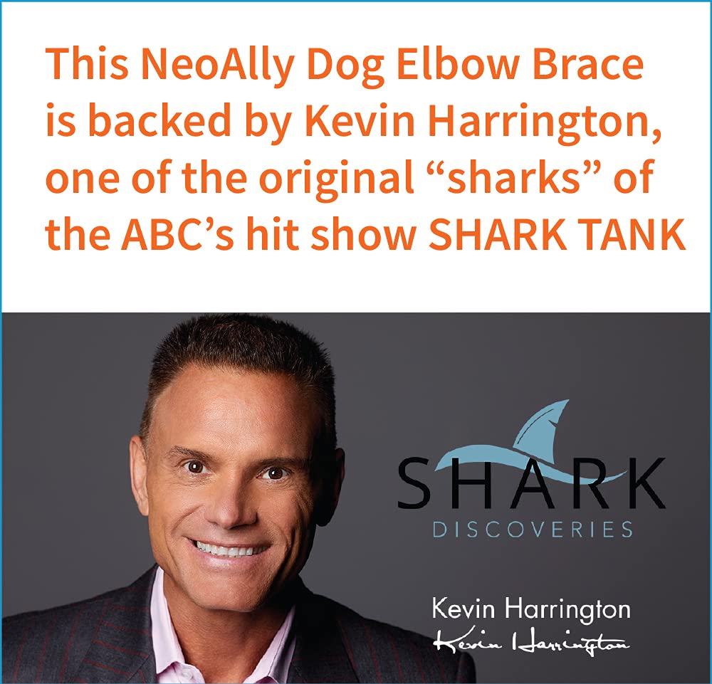 NeoAlly elbow protector on a standing dog illustrates protective coverage.