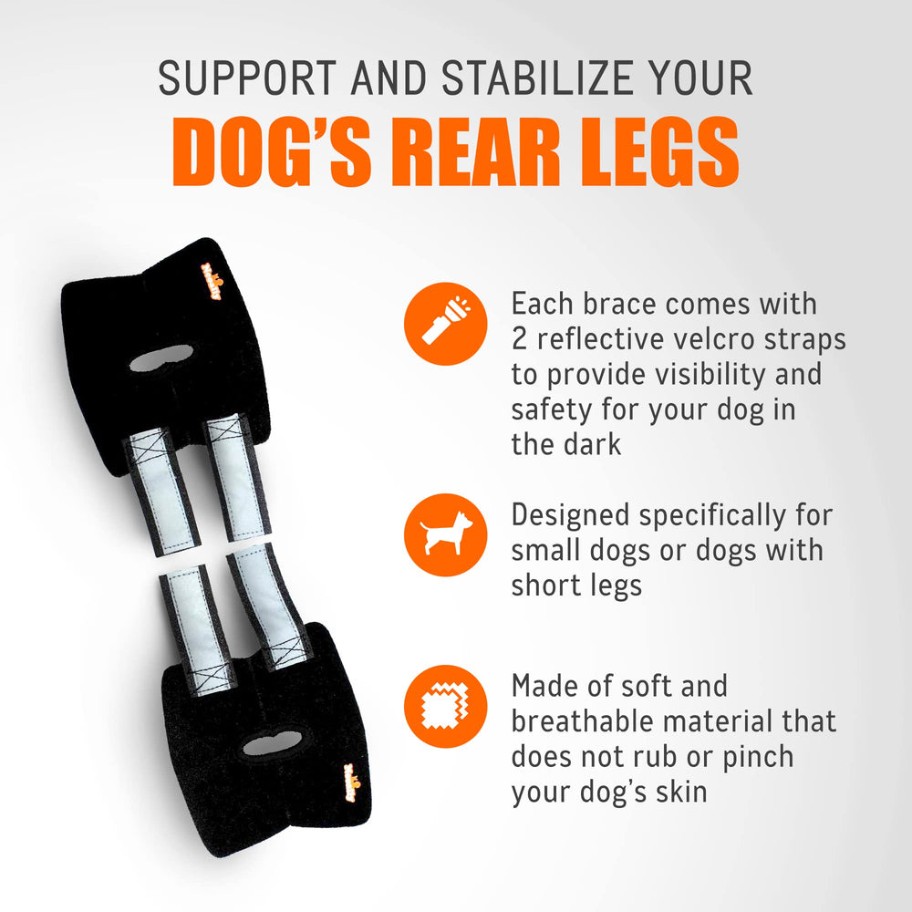 NeoAlly pair braces designed for daily wear