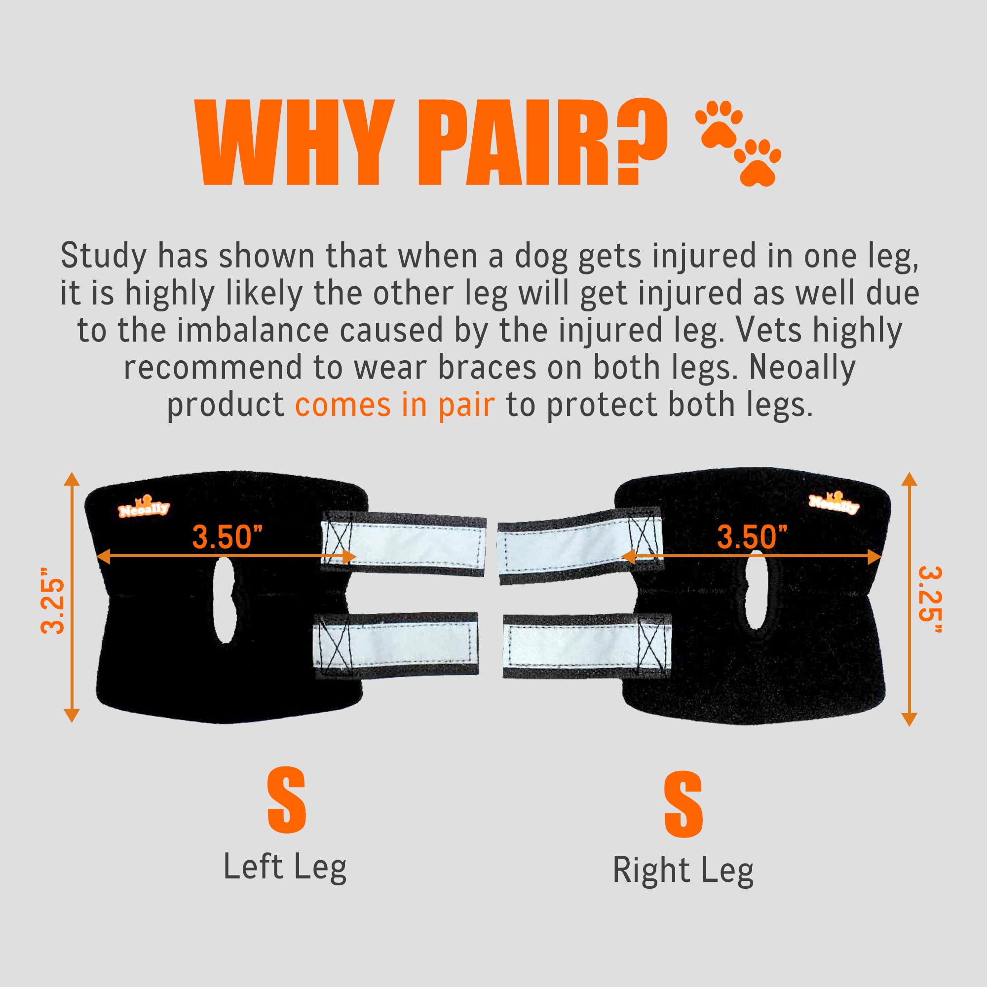 NeoAlly rear leg braces with secure Velcro straps