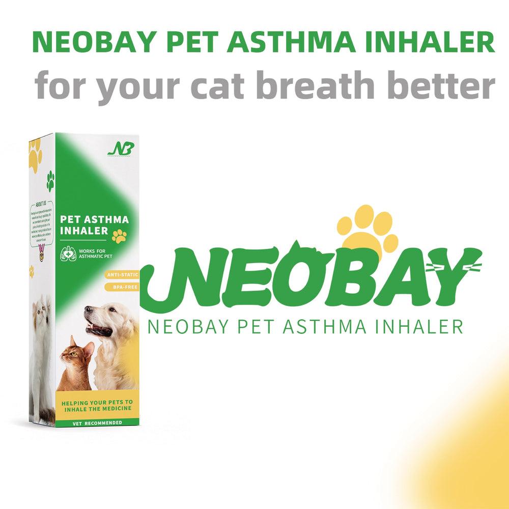 Neobay instruction manual guides a calm routine.