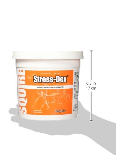 Neogen Stress-Dex dissolves easily in water, offering a palatable electrolyte boost for horses.