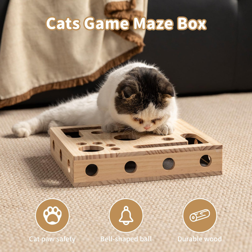 NeoNava curious cat engages with enrichment box during interactive session.