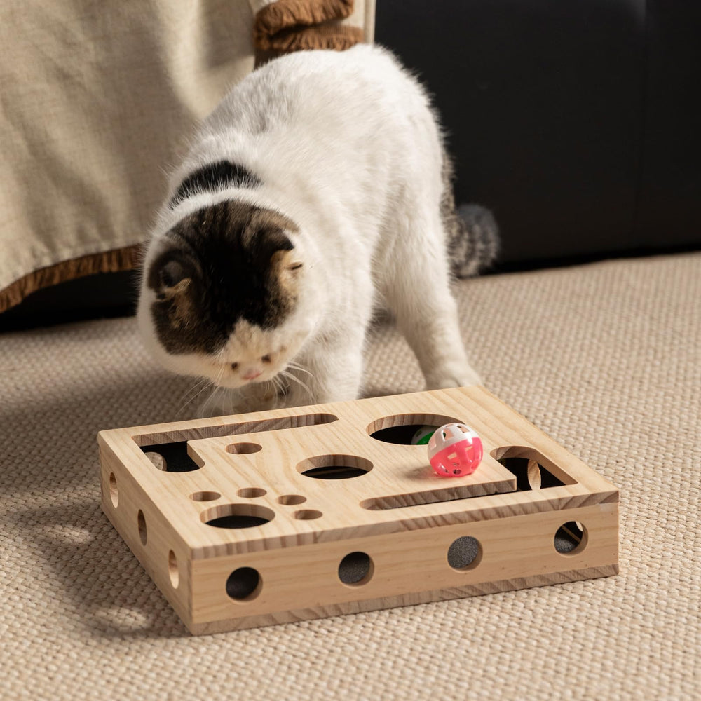 NeoNava cat reaches into box to uncover treats and engage senses.