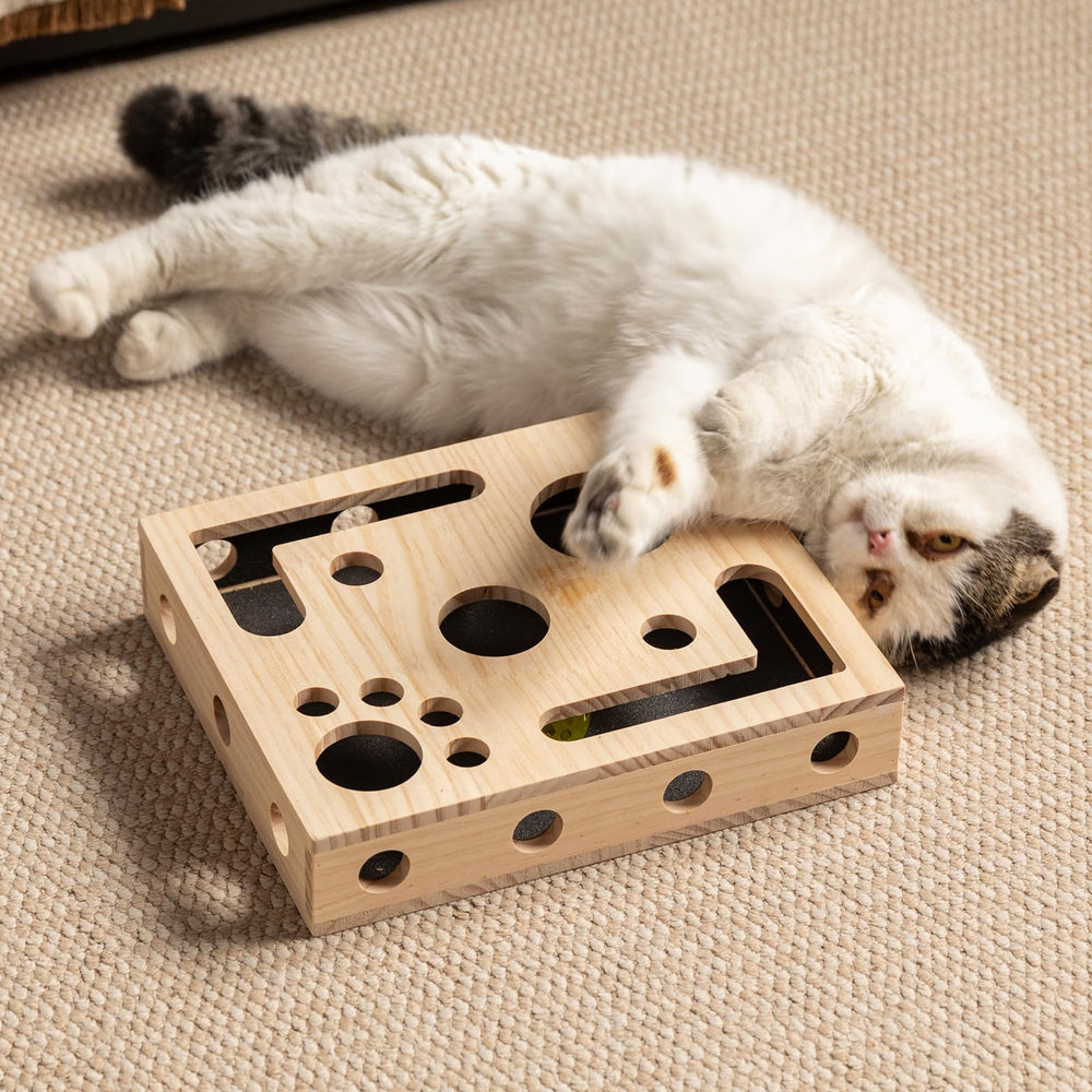 NeoNava reward-based puzzle invites cats to solve and discover treats.