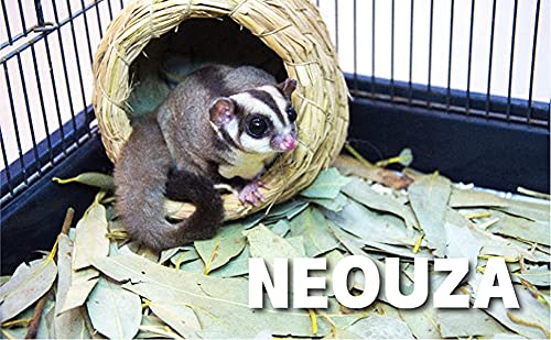 NEOUZA Aromatic and decorative use for display in a habitat.