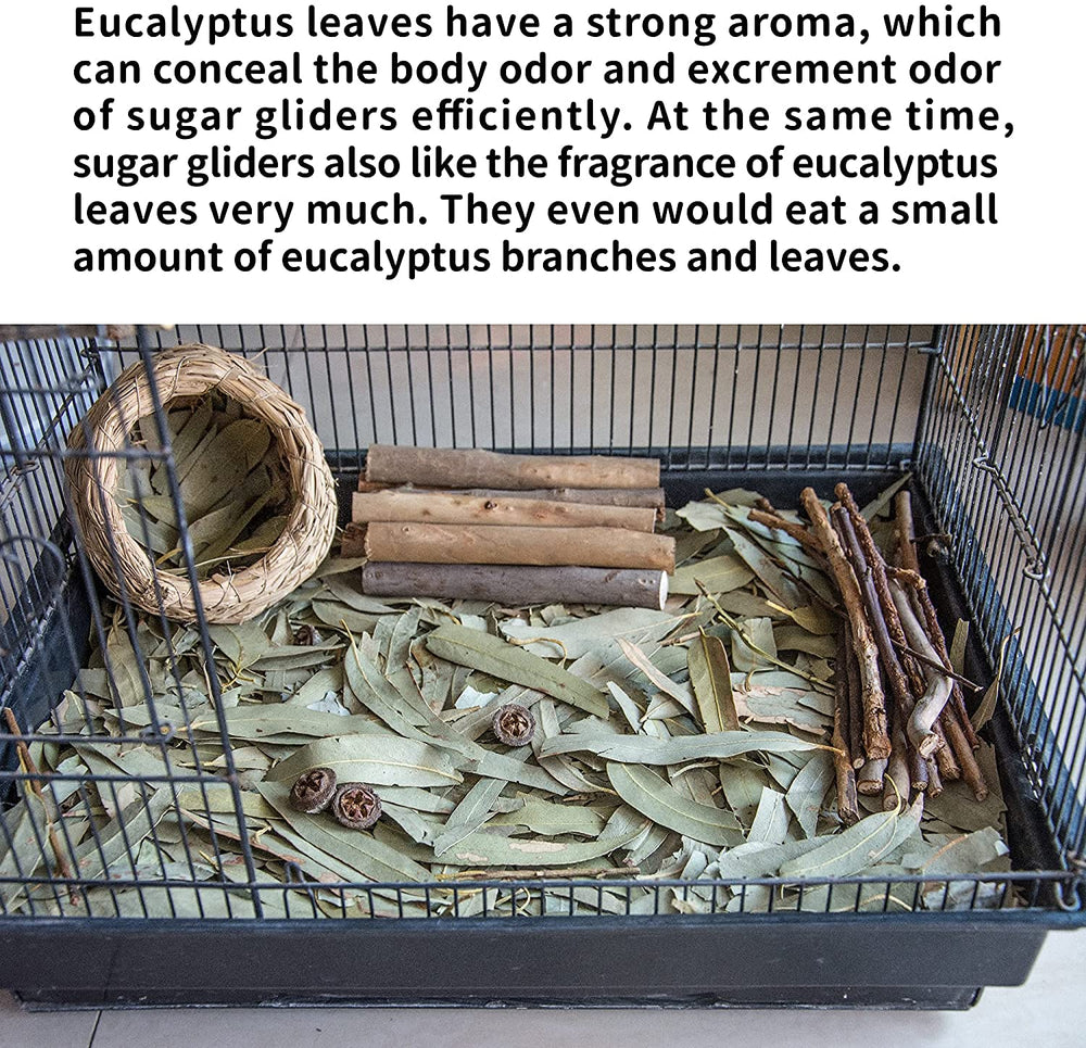 NEOUZA Enclosure aroma and odor control with eucalyptus leaves.