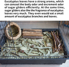 NEOUZA Enclosure aroma and odor control with eucalyptus leaves.