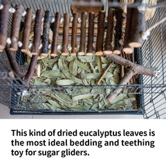 NEOUZA Eucalyptus branch chewing stick for safe gnawing.