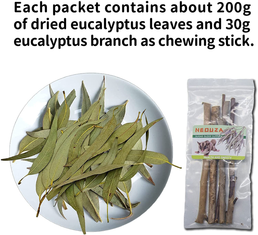 NEOUZA Eucalyptus leaves close-up, highlighting natural chewing materials.