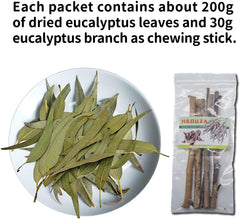NEOUZA Eucalyptus leaves close-up, highlighting natural chewing materials.