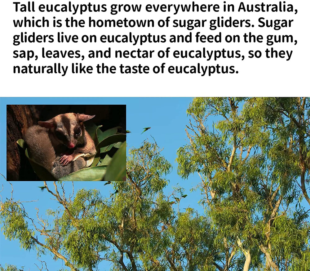 NEOUZA Pure and natural eucalyptus leaves without additives.