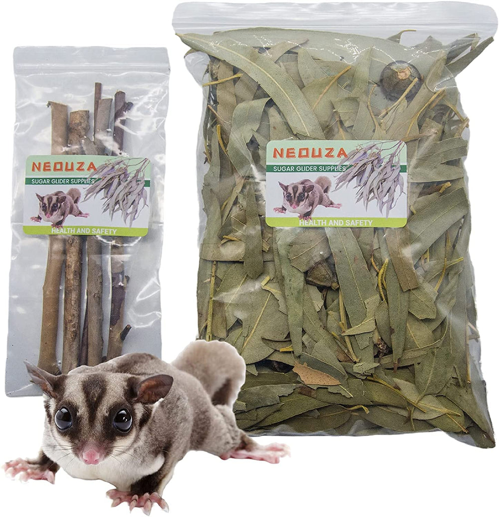 NEOUZA Sugar Glider Bedding with natural eucalyptus leaves for cozy comfort.