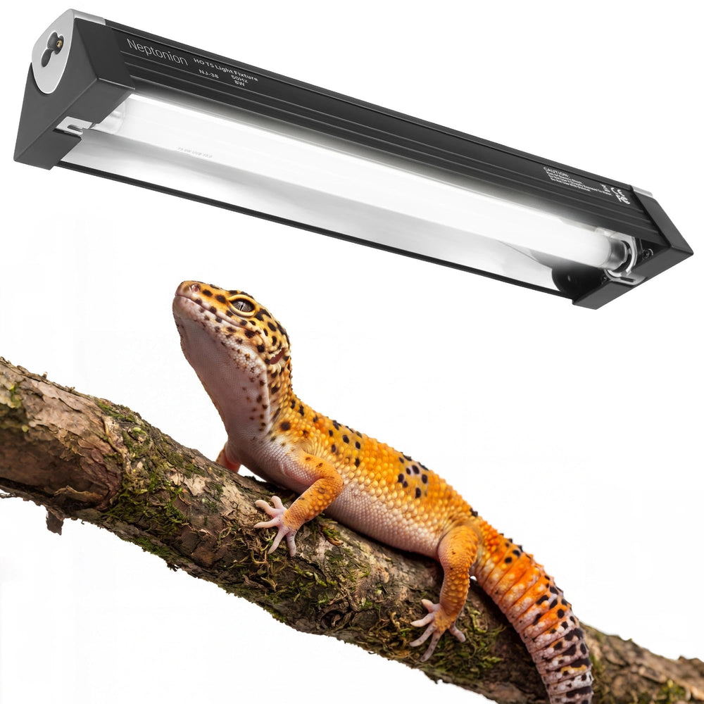 NEPTONION 8W T5 HO UVB 12.5-inch fixture front view for reliable reptiles