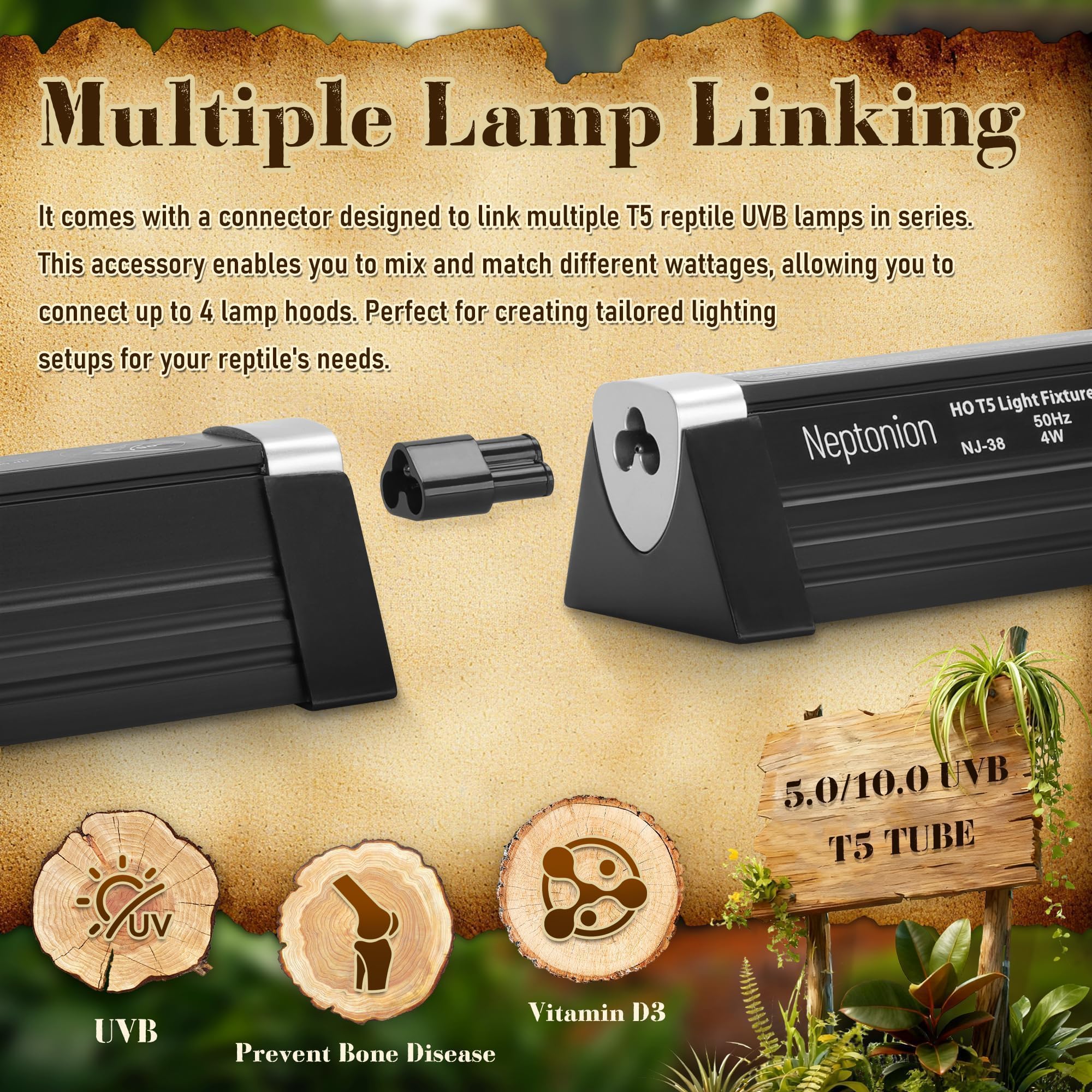 NEPTONION fixture mounted vs freestanding supports versatile lighting in arid terrarium settings