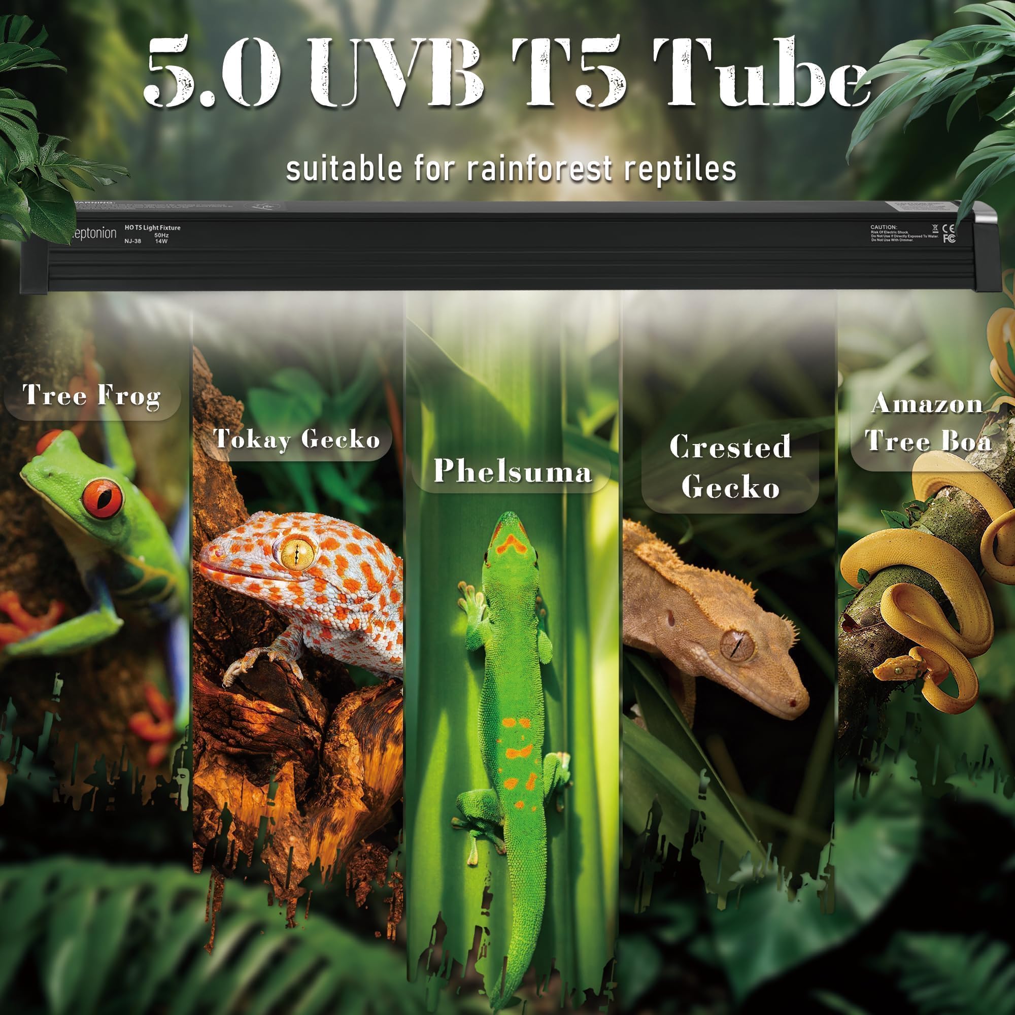 NEPTONION quick-fix guidance reduces flicker and noise for calmer reptiles