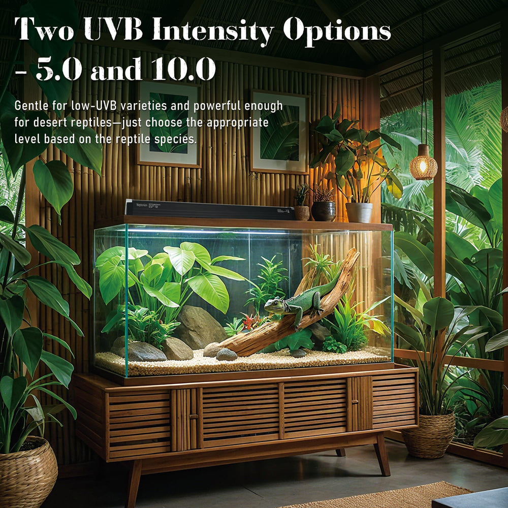 NEPTONION UVB T5 HO tube close-up highlights efficient output for desert reptiles