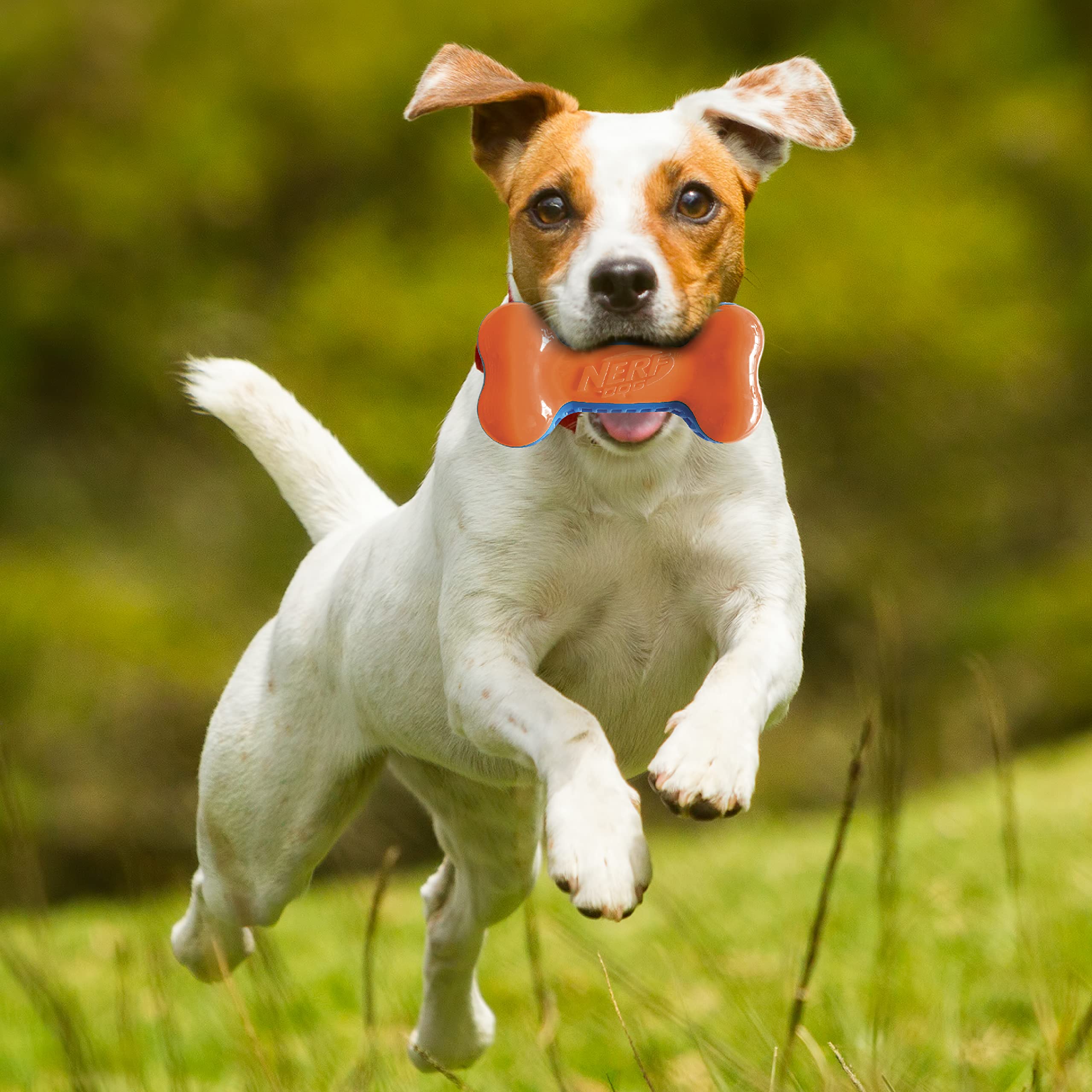 Nerf Dog 7in Squeak Bone close up highlighting durable texture for chewing and play.