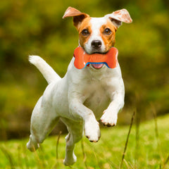 Nerf Dog 7in Squeak Bone close up highlighting durable texture for chewing and play.