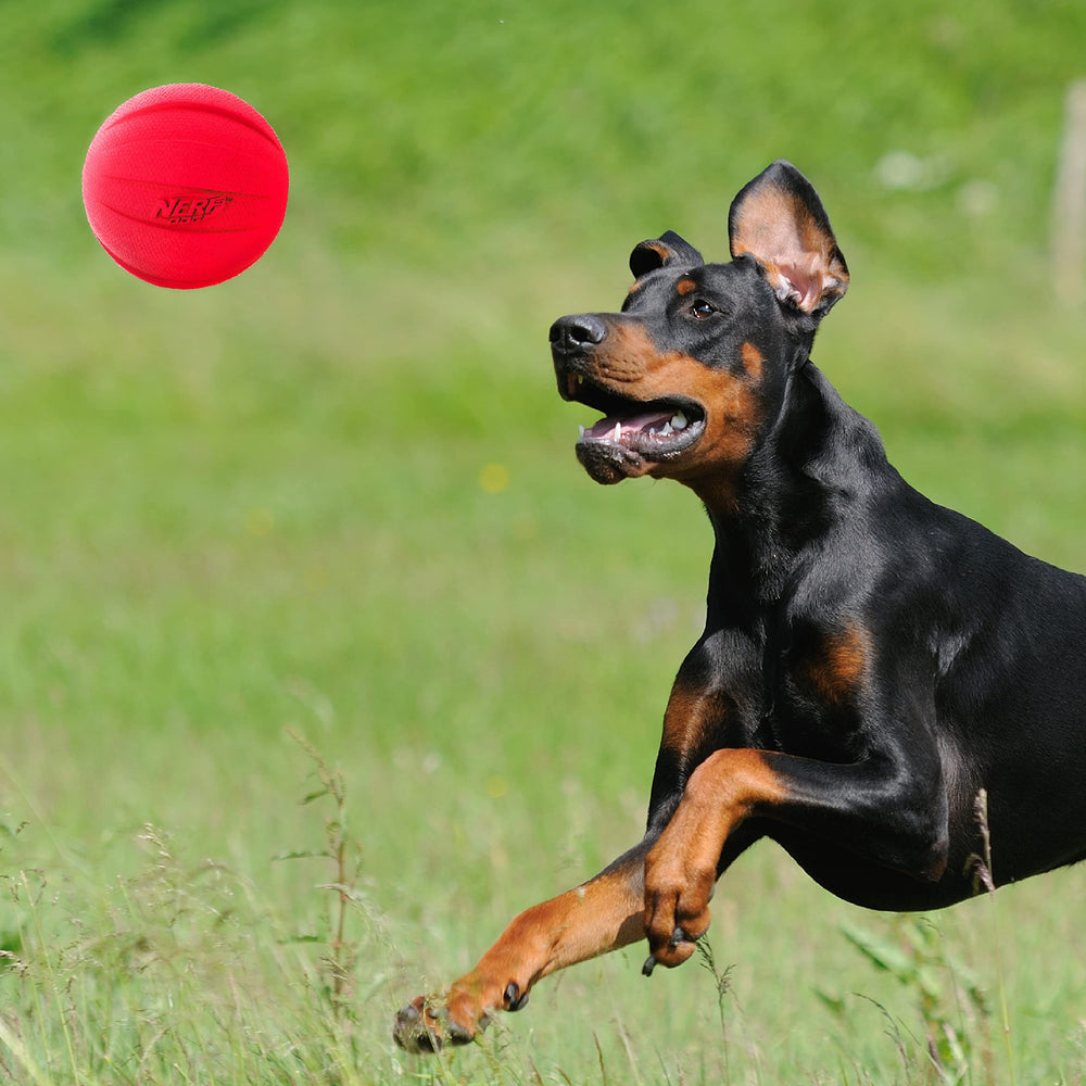 Nerf Dog Classic Squeak Ball close-up hex-pattern grip for easy handling.