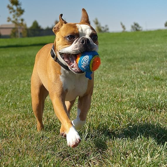 Nerf Dog Toy for All Breeds designed for dogs of every size and energy level.