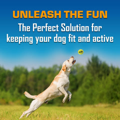Nerf Dog gift set packaging emphasizing value and easy gifting