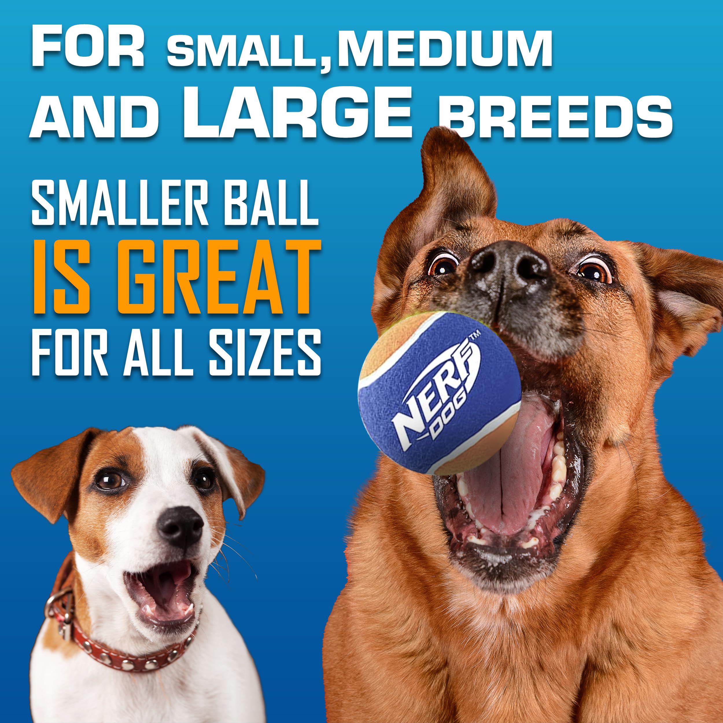 Nerf Dog Hands-Free Pickup keeps slobber off your hands during fetch.