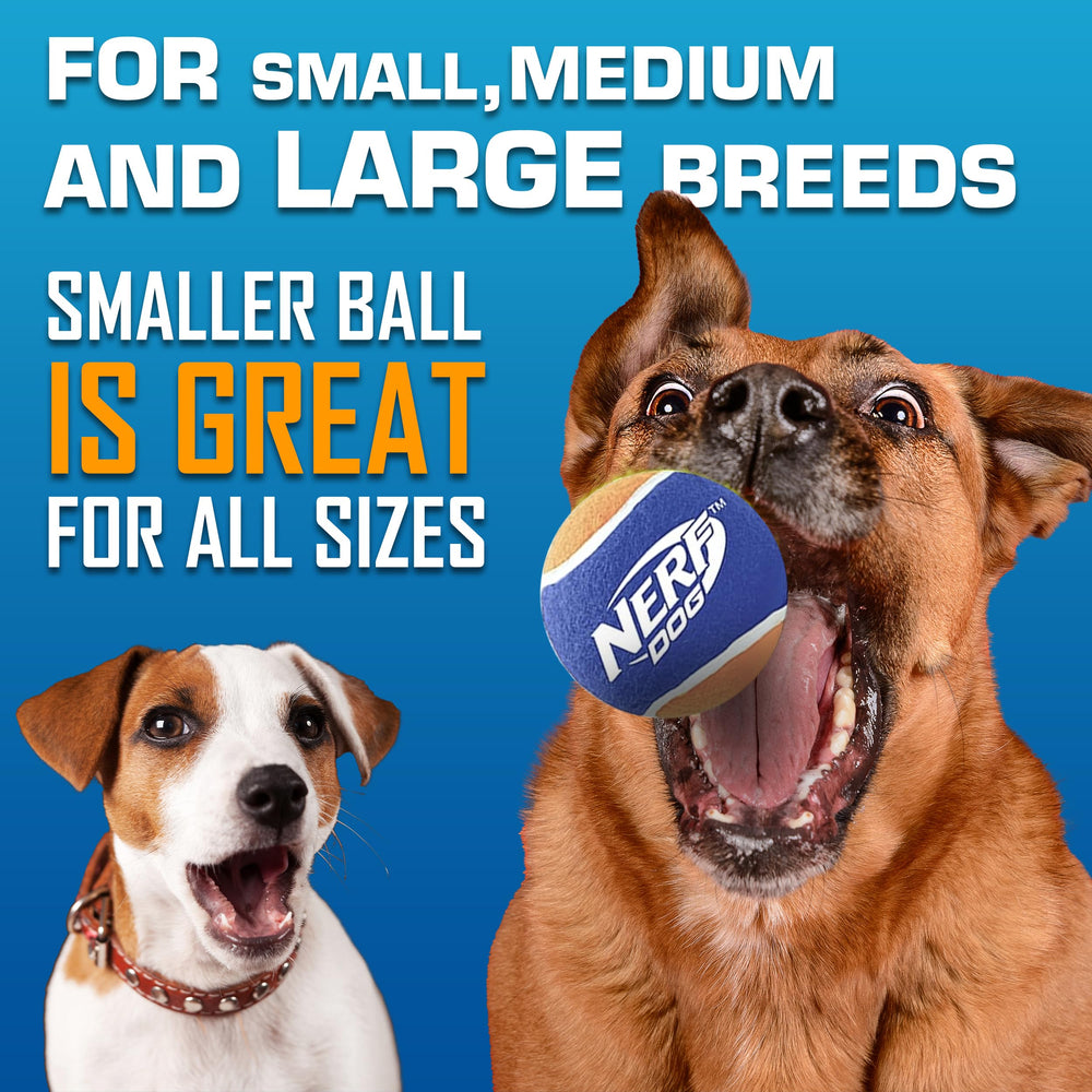 Nerf Dog Hands-Free Pickup keeps slobber off your hands during fetch.