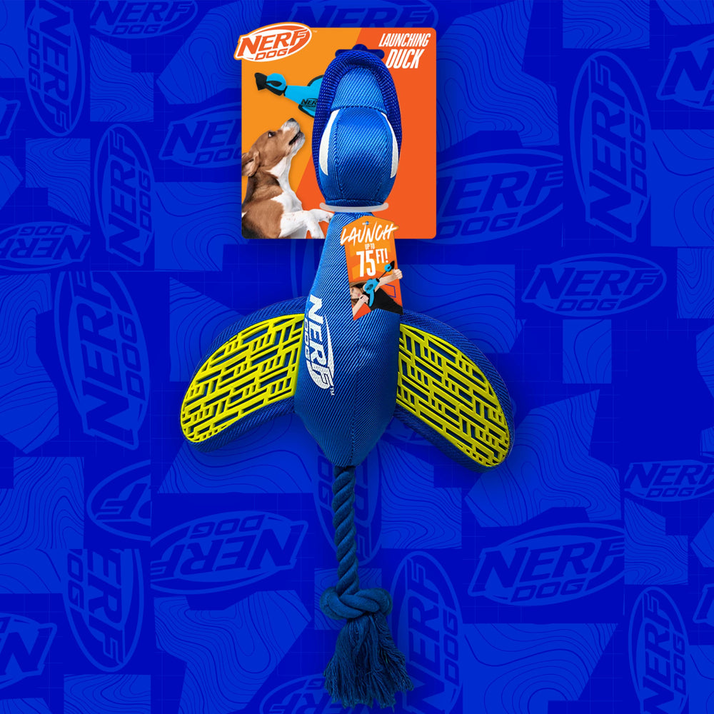 Nerf Dog large-breed fetch toy ready for rugged outdoor play.