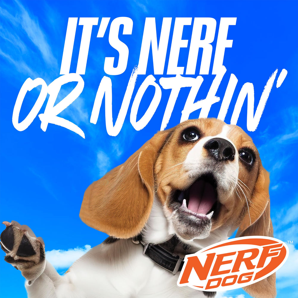 Nerf Dog nylon duck fetch toy shown for outdoor park sessions.