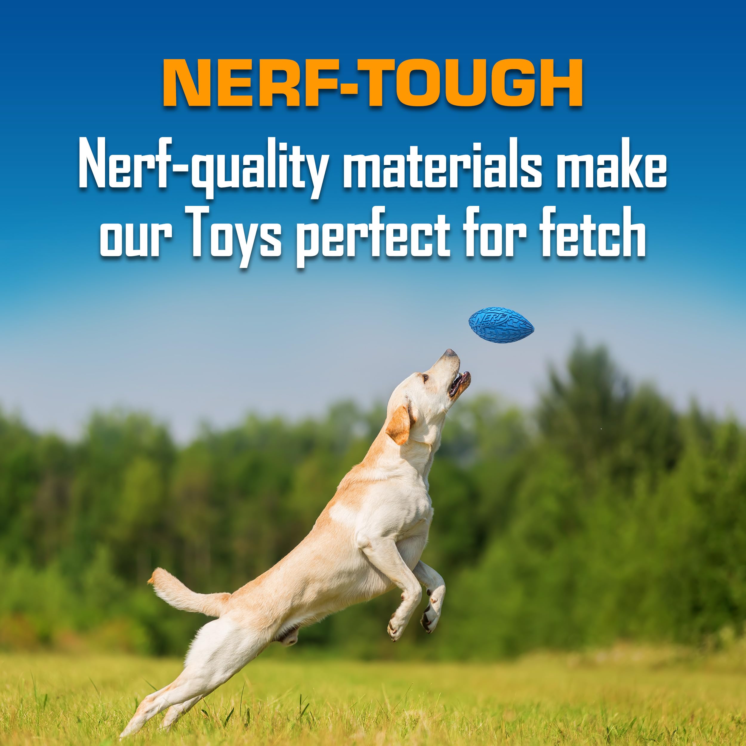 Nerf Dog Outdoor Toy Set packaging, easy to recognize in-store.