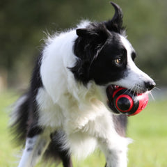Nerf Dog Rubber Football in bright red for easy tracking during outdoor games